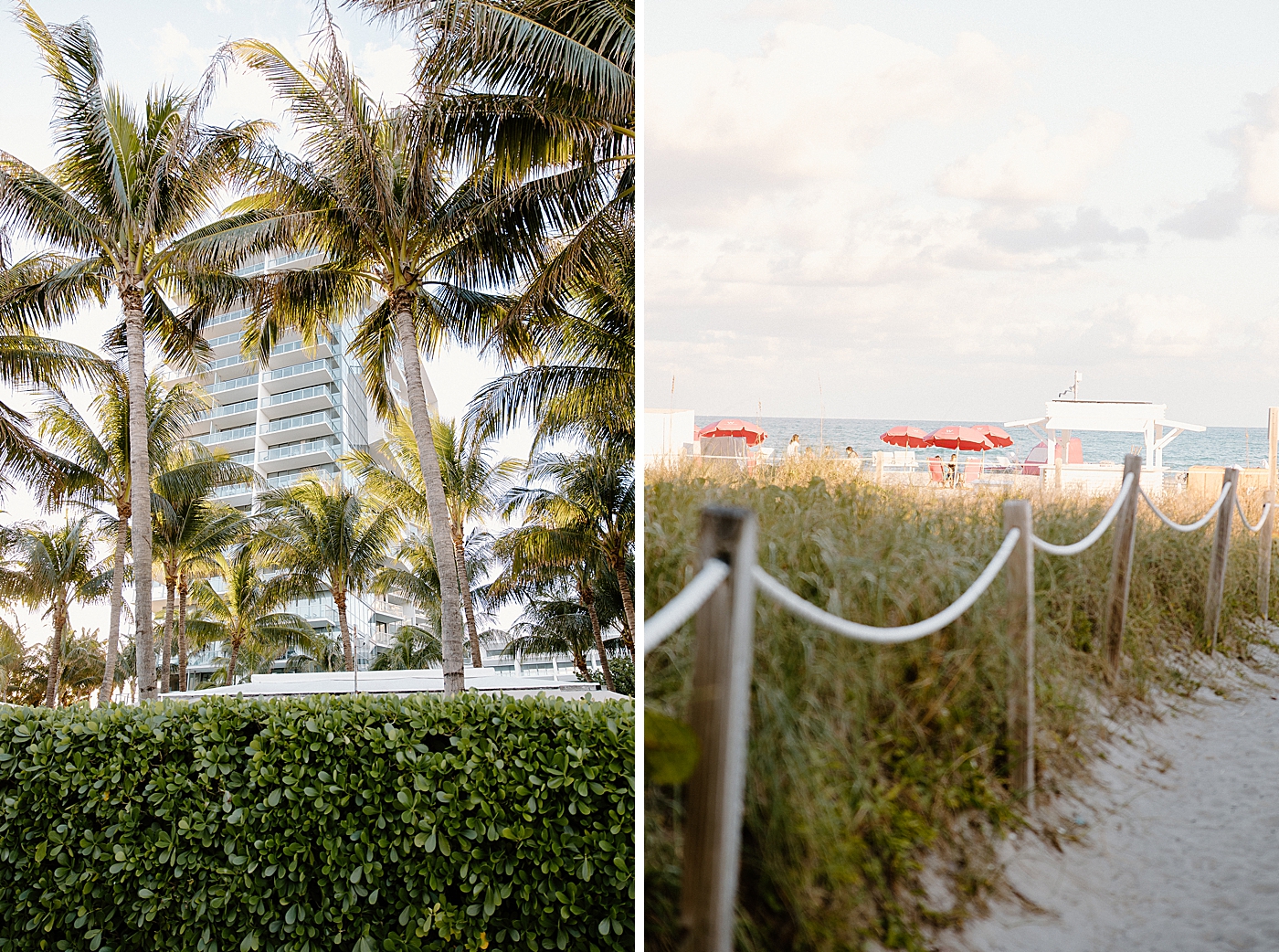 Detail shot of palm trees and beach Modern Elegant Wedding at The W South Beach captured by South Florida Wedding Photographer Erika Tuesta Photography